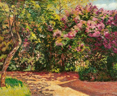 Lilas, le jardin de l